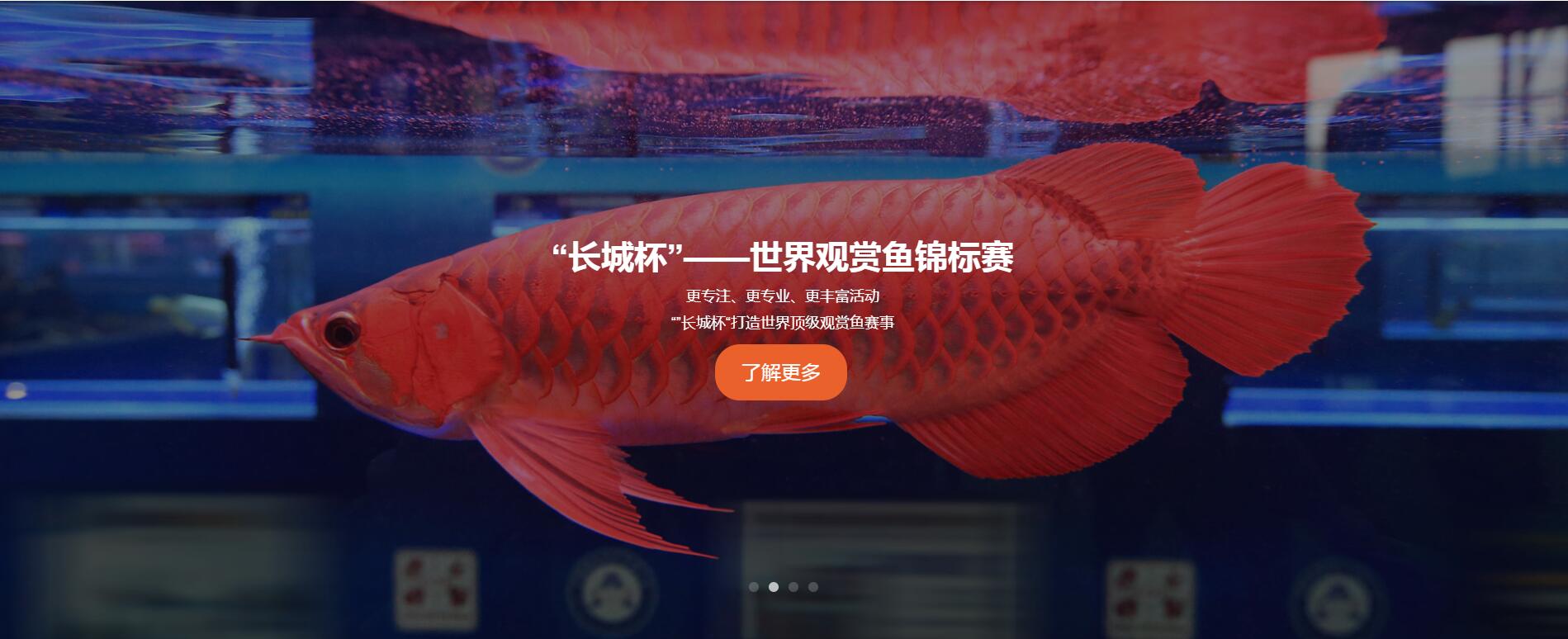 第二十二届中国国际宠物水族展览会(CIPS 2018) 广州水族资讯 花地湾水族批发市场 第1张